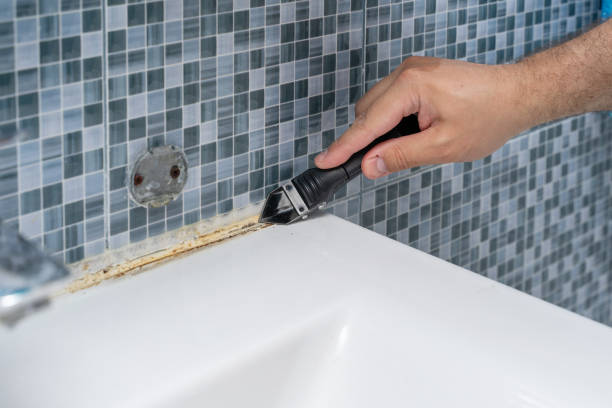 Best Mold Remediation  in Richardson, TX