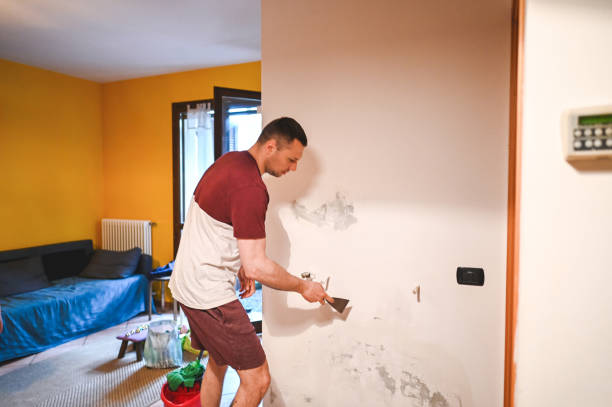Best Mold Removal Company Near Me  in Richardson, TX