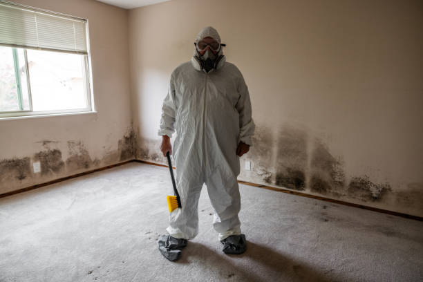 Best Emergency Mold Removal  in Richardson, TX